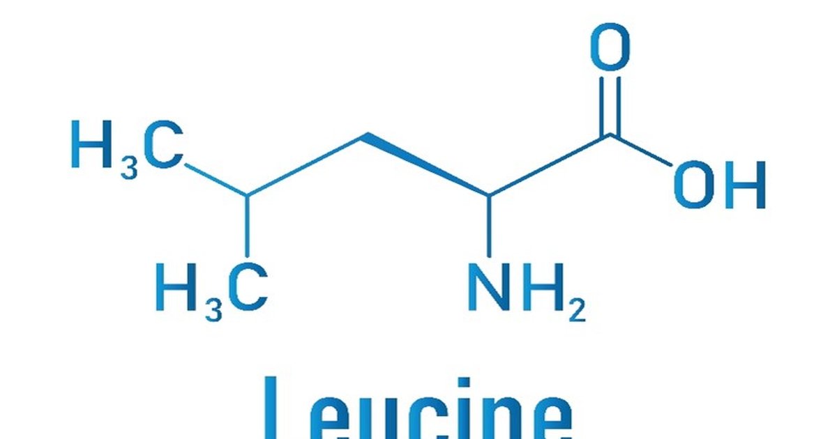 How to Calculate Leucine Content in Common Foods