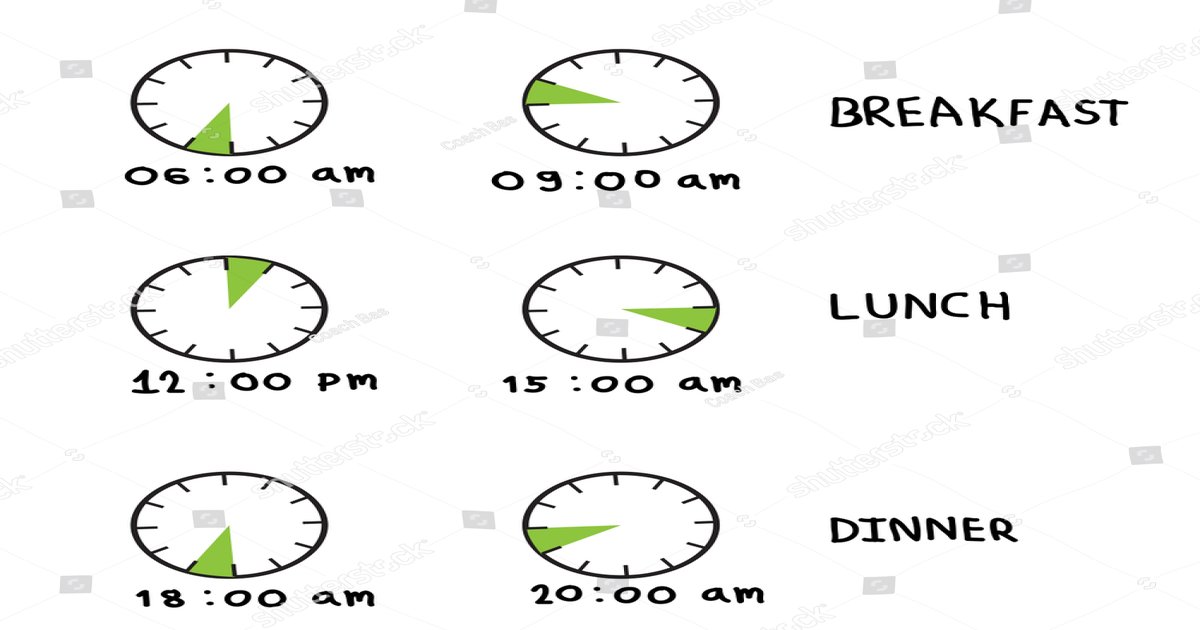 Meal Timing 101: Distributing Protein Across 4-5 Meals