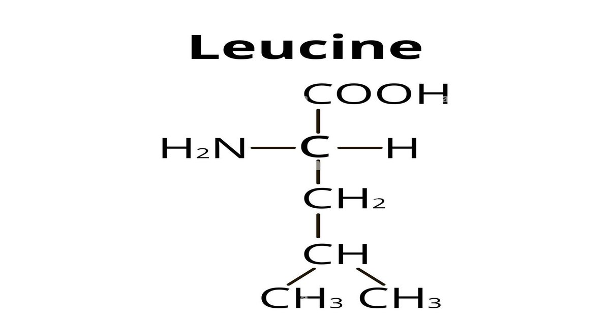 What Is the Leucine Threshold and Why Does It Matter?